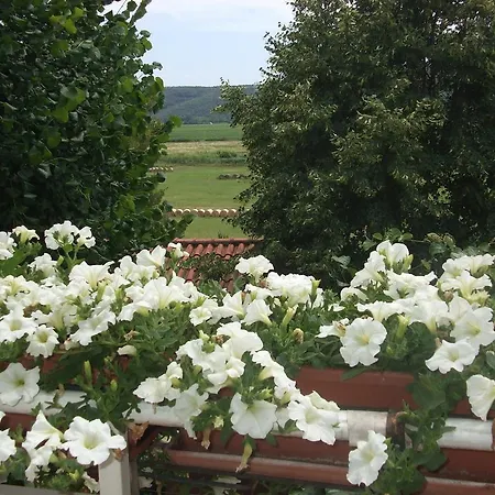 Hribar